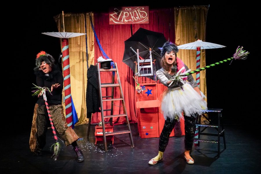 Kindertheater. WIE KATER ZORBAS DER KLEINEN MÖWE DAS FLIEGEN BEIBRACHTE. Spiel & Musik Isabelle Guidi & Gwendolin Stisser. Regie und Lichttechnik Johanna Sophie Müller - Theater HERZeigen